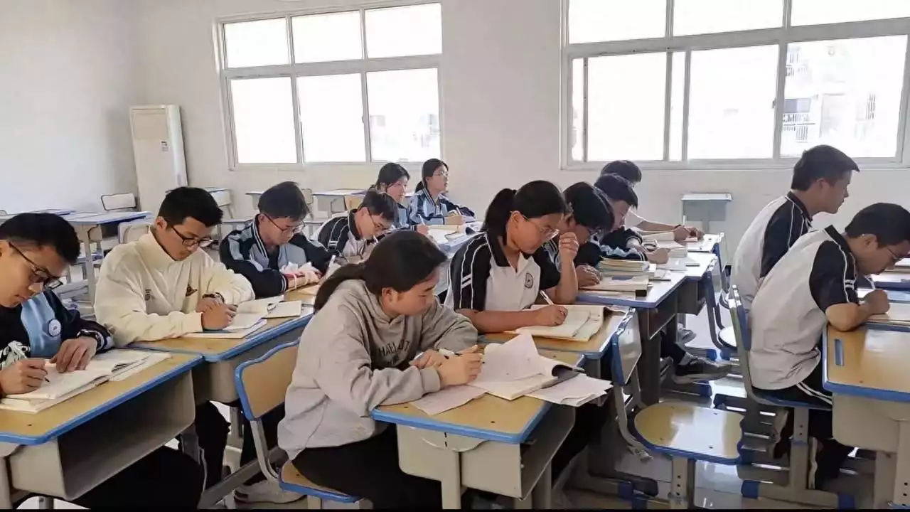 高考生物_高二新高考学习规划_高二知识承重期重要性